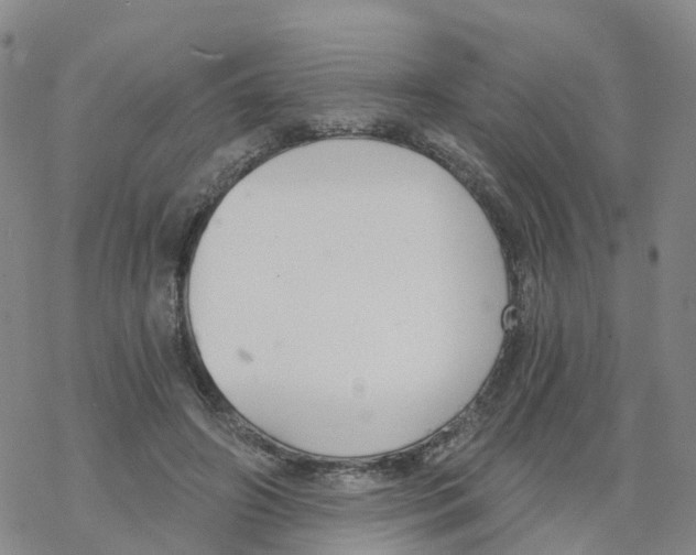 X0000068730498200605262029