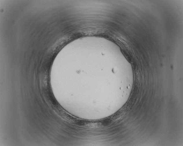 X0000068730499200605262029