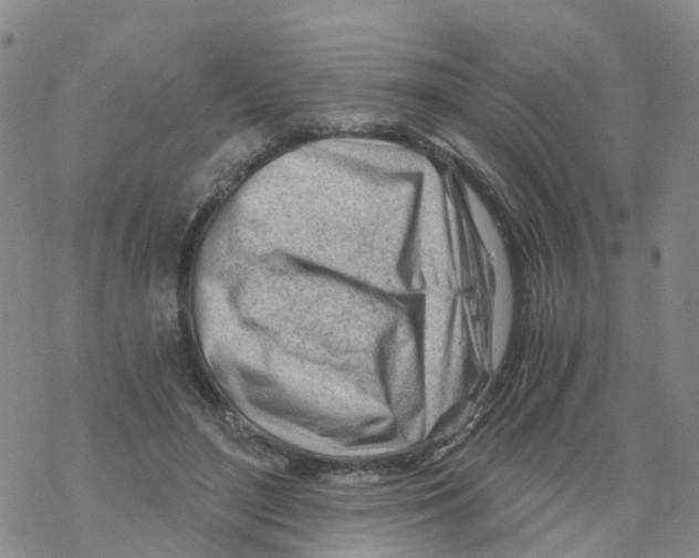 X0000068730500200605262029