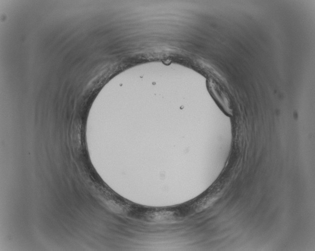 X0000068730501200605262029