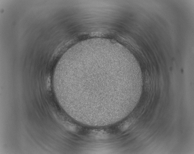 X0000068730502200605262029