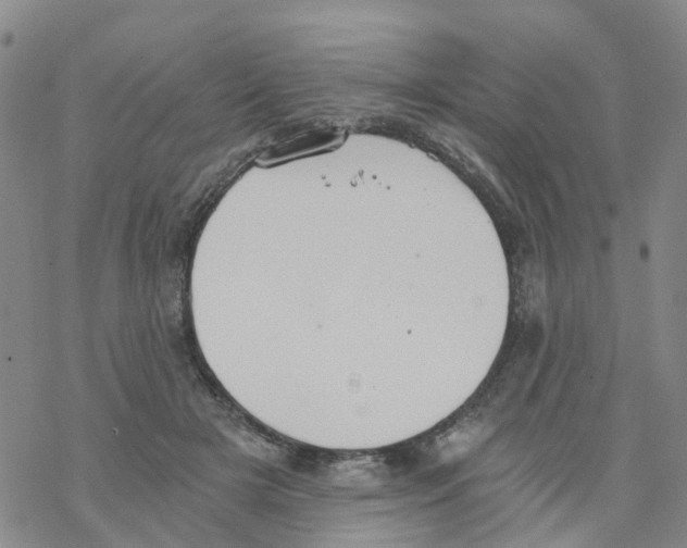 X0000068730505200605262029