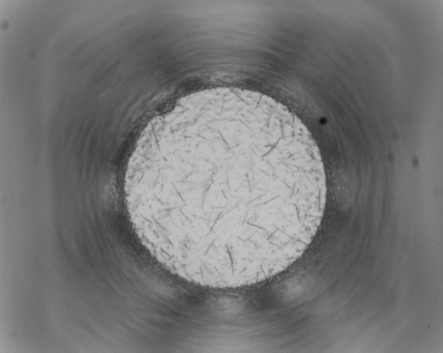 X0000068730506200605262029