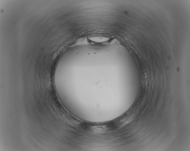 X0000068730508200605262029