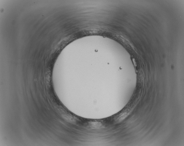 X0000068730509200605262029