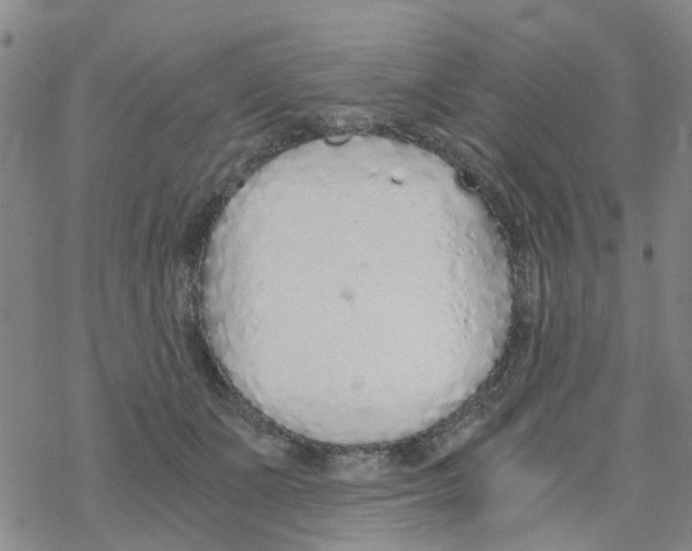 X0000068730511200605262029