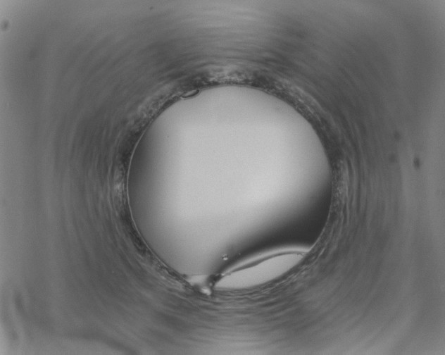 X0000068730513200605262029