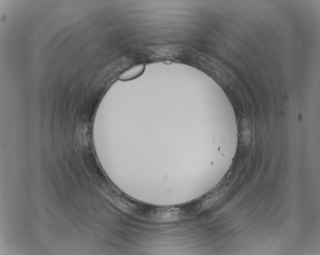 X0000068730514200605262029