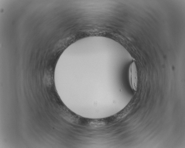 X0000068730515200605262029