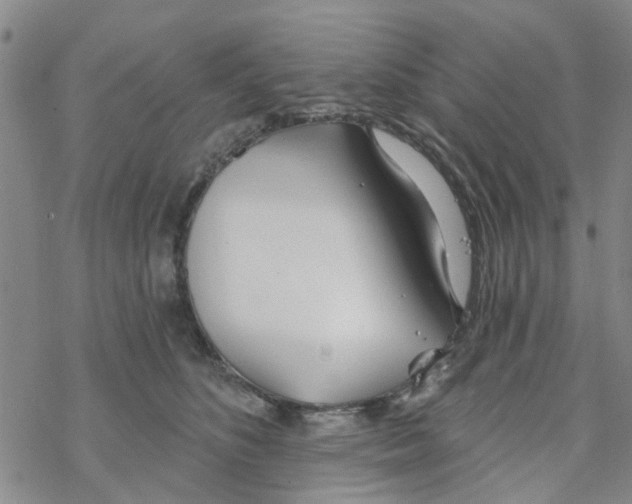 X0000068730516200605262029