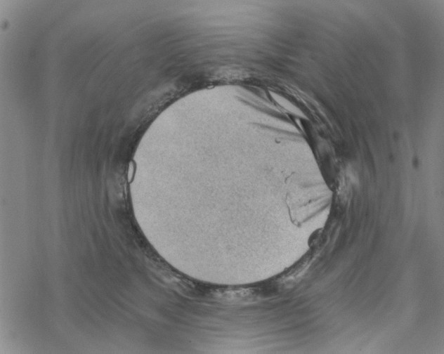 X0000068730517200605262029