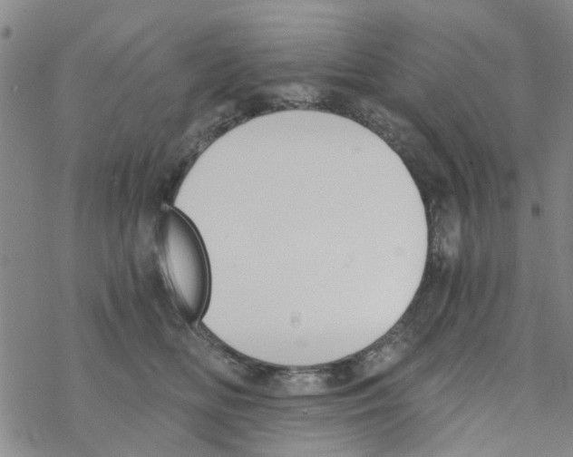 X0000068730518200605262029