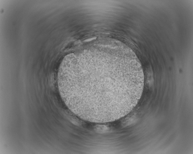 X0000068730519200605262029