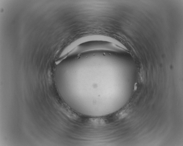 X0000068730520200605262029