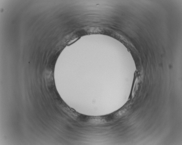 X0000068730521200605262029