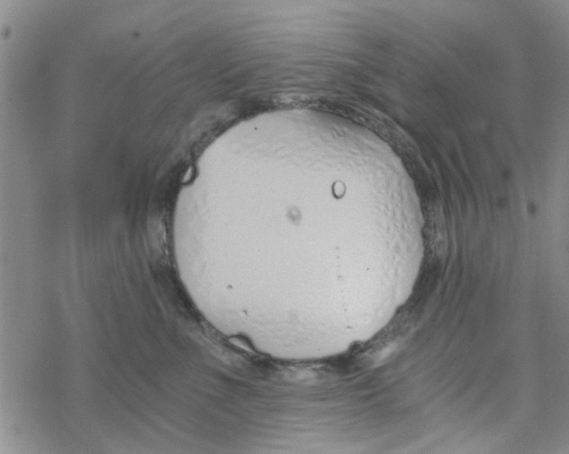 X0000068730523200605262029