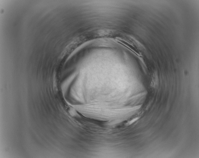 X0000068730524200605262029