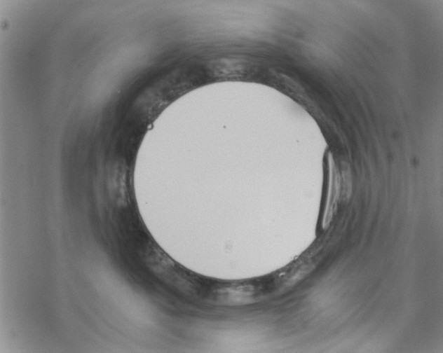 X0000068730525200605262029