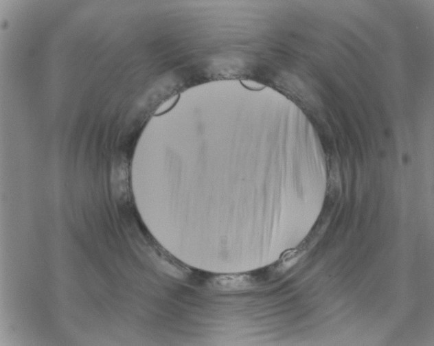 X0000068730526200605262029