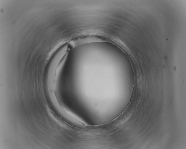 X0000068730530200605262028