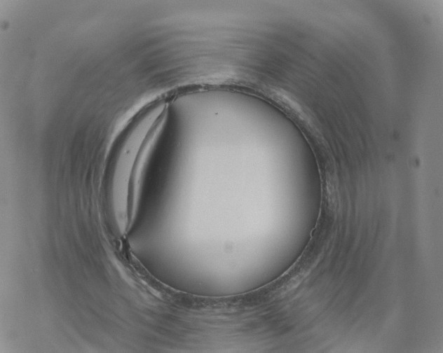 X0000068730532200605262028