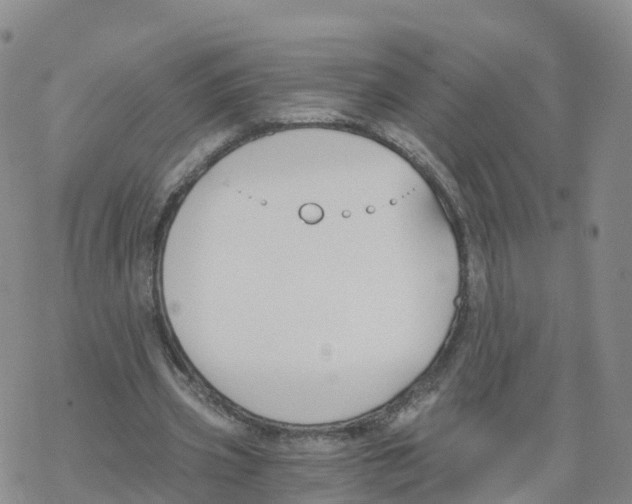 X0000068730533200605262028