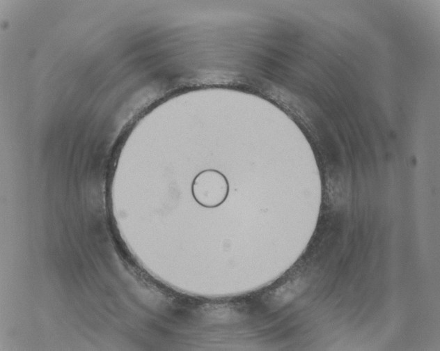 X0000068730534200605262028