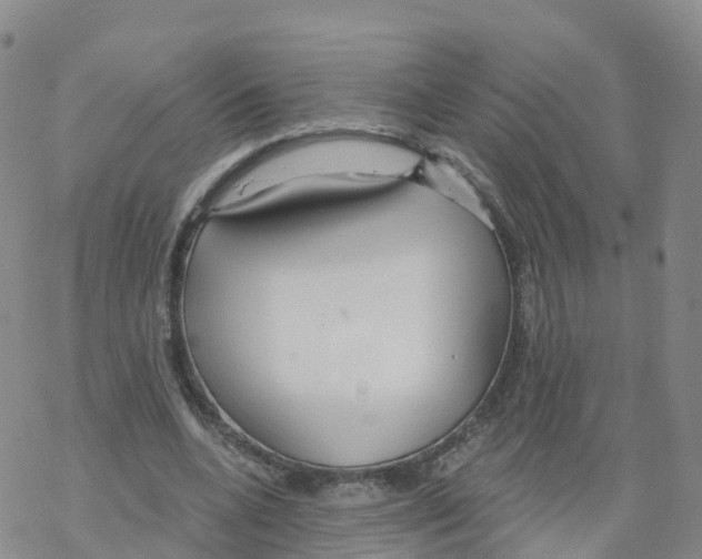 X0000068730536200605262028