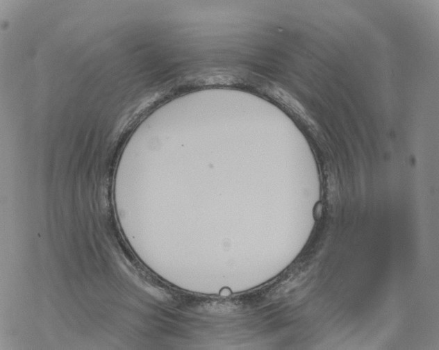 X0000068730537200605262028