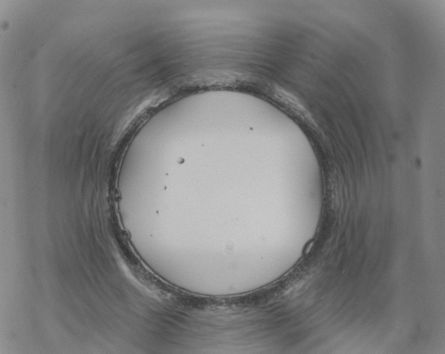 X0000068730538200605262028