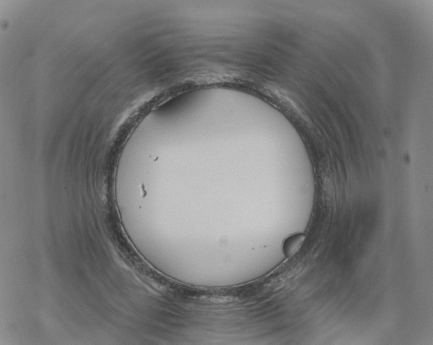 X0000068730539200605262028