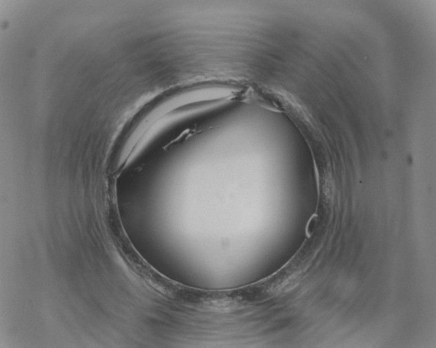 X0000068730540200605262028