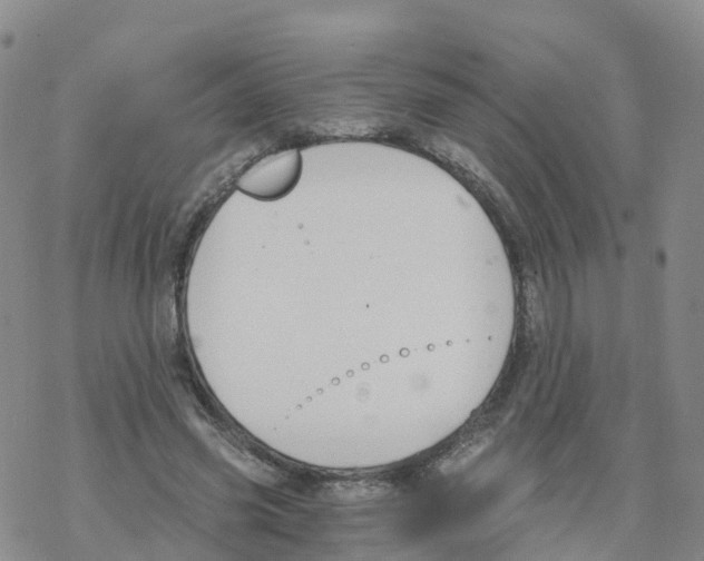 X0000068730541200605262028