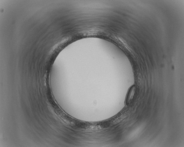 X0000068730543200605262028