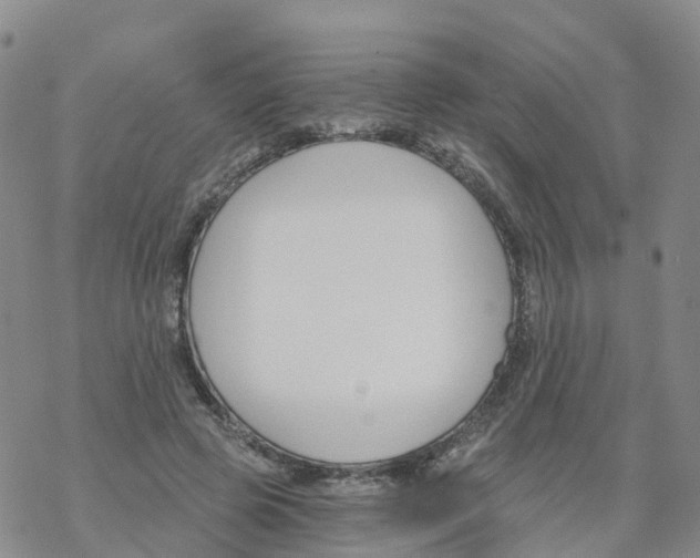 X0000068730545200605262028