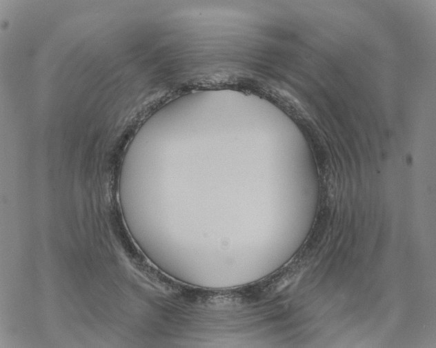 X0000068730546200605262028