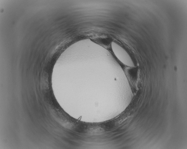 X0000068730547200605262028