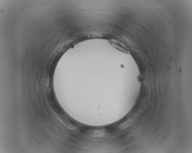 X0000068730548200605262028