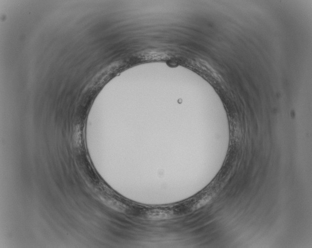 X0000068730549200605262028