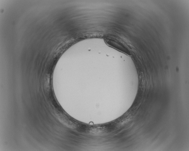 X0000068730550200605262028