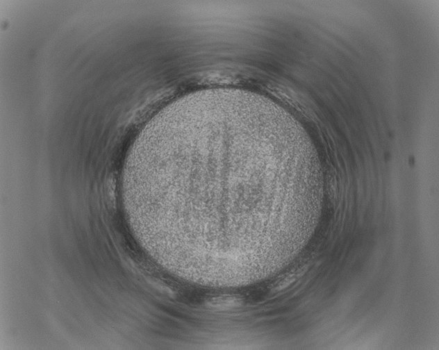 X0000068730551200605262028