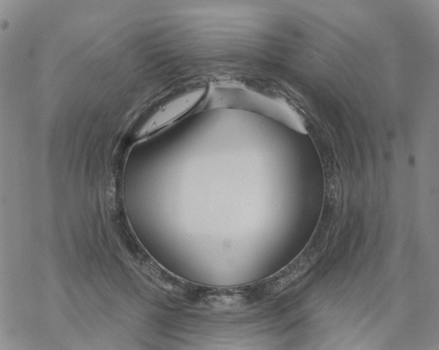 X0000068730552200605262028