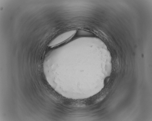 X0000068730553200605262028