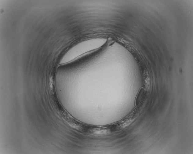 X0000068730555200605262028