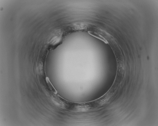 X0000068730556200605262028