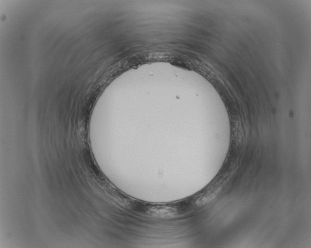 X0000068730557200605262028