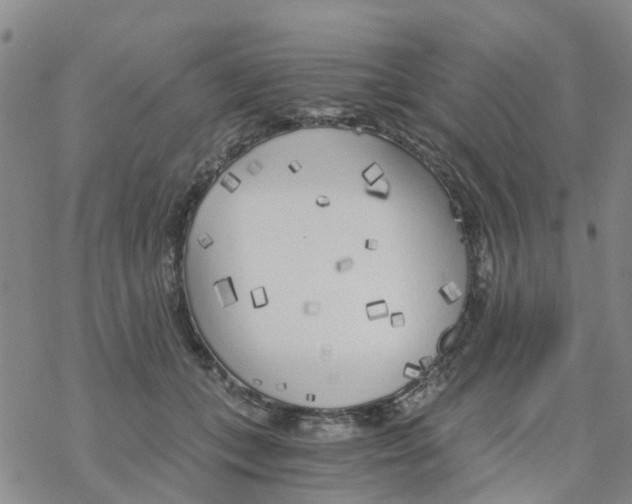 X0000068730559200605262028