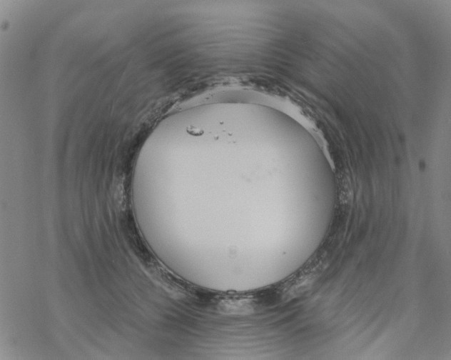 X0000068730560200605262028