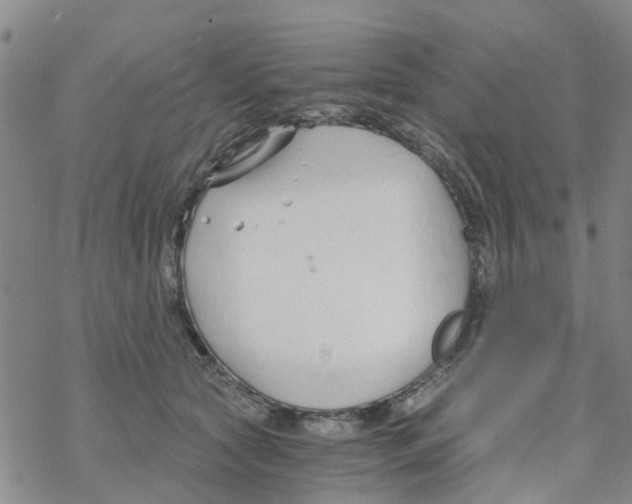 X0000068730561200605262028