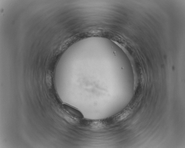 X0000068730562200605262028